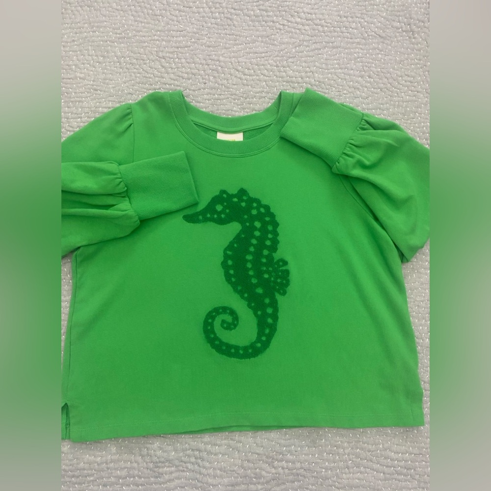 💚🐚 Maeve Seahorse Tufted Sweatshirt 🐚🩵 - Picture 9 of 14